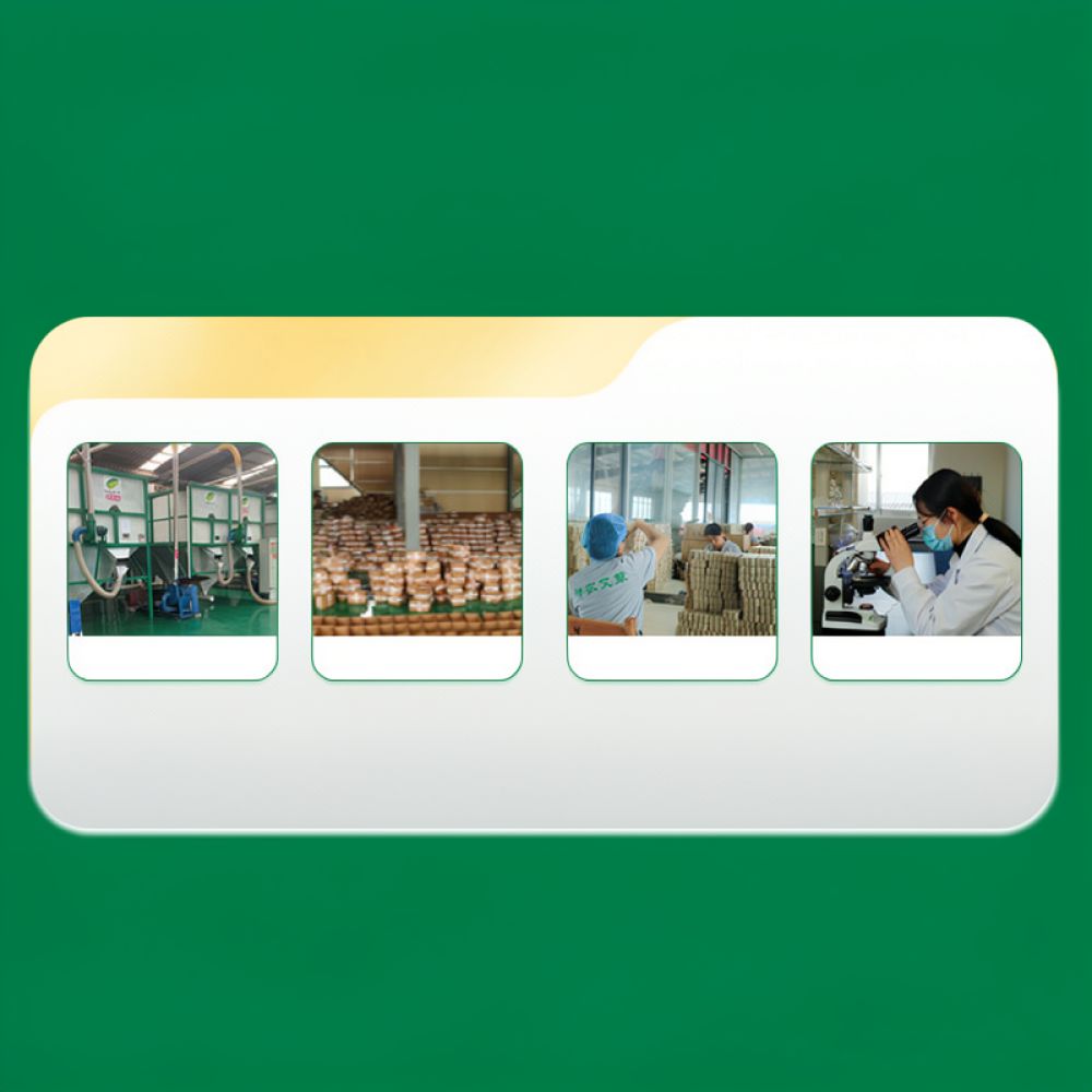 Smokeless Carbonized Moxa Stic - Therapy Health And Wellness review and price