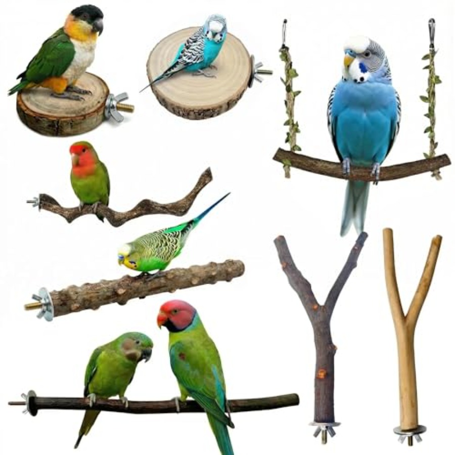 8PCS natural wood bird perches - Health & Wellness Unlimited review and price