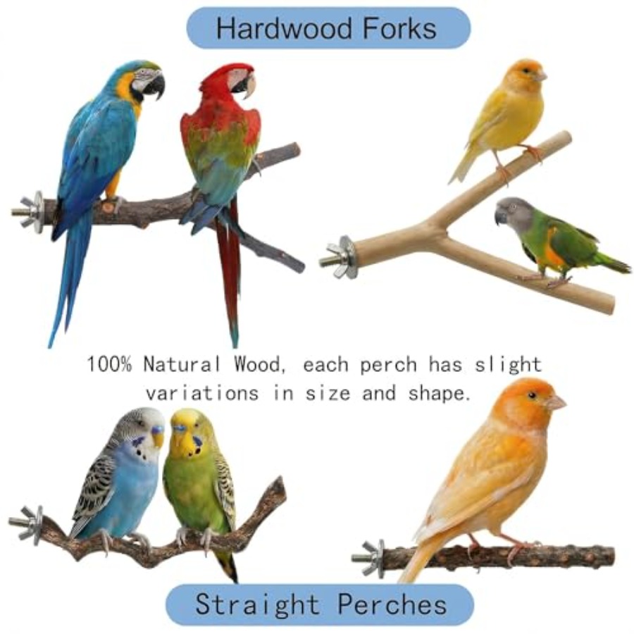 8PCS natural wood bird perches - Health & Wellness Unlimited review and price
